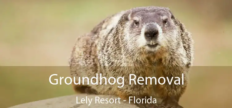 Groundhog Removal Lely Resort - Florida