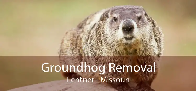Groundhog Removal Lentner - Missouri