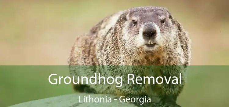 Groundhog Removal Lithonia - Georgia