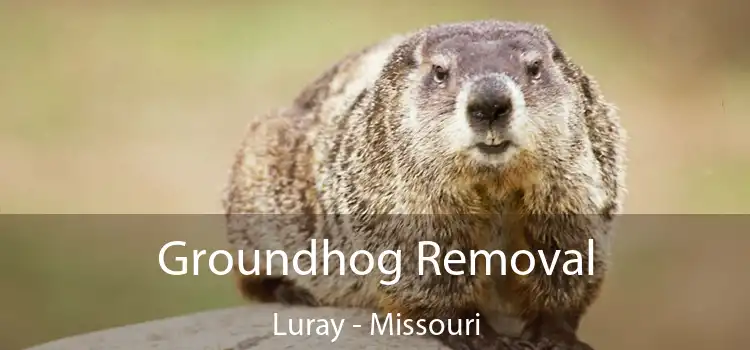 Groundhog Removal Luray - Missouri