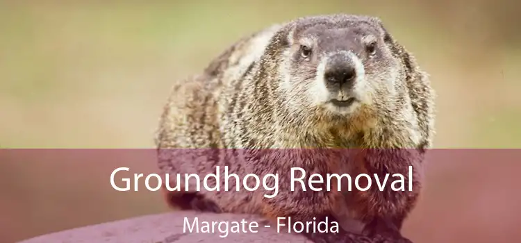 Groundhog Removal Margate - Florida