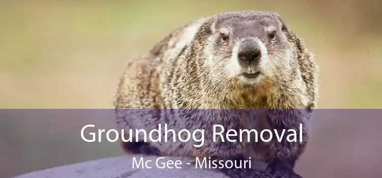 Groundhog Removal Mc Gee - Missouri