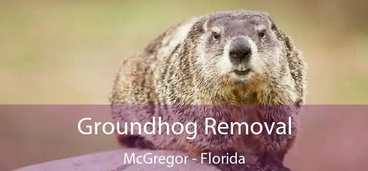 Groundhog Removal McGregor - Florida