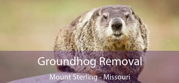 Groundhog Removal Mount Sterling - Missouri