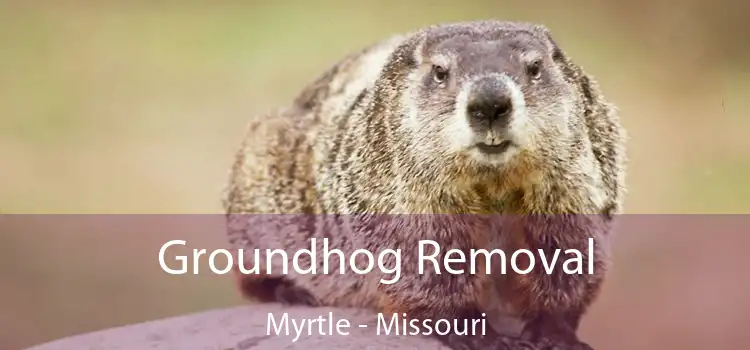 Groundhog Removal Myrtle - Missouri