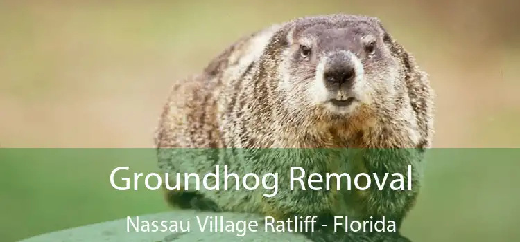 Groundhog Removal Nassau Village Ratliff - Florida