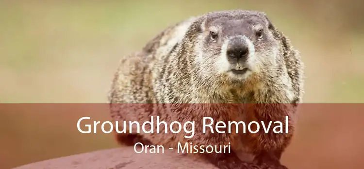 Groundhog Removal Oran - Missouri