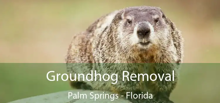 Groundhog Removal Palm Springs - Florida