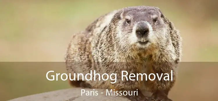 Groundhog Removal Paris - Missouri