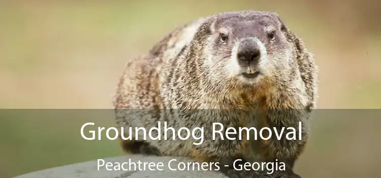 Groundhog Removal Peachtree Corners - Georgia