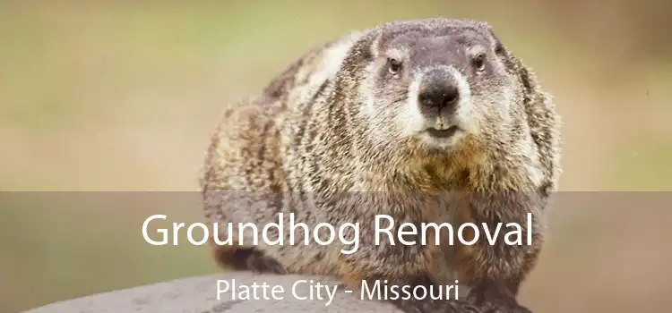 Groundhog Removal Platte City - Missouri