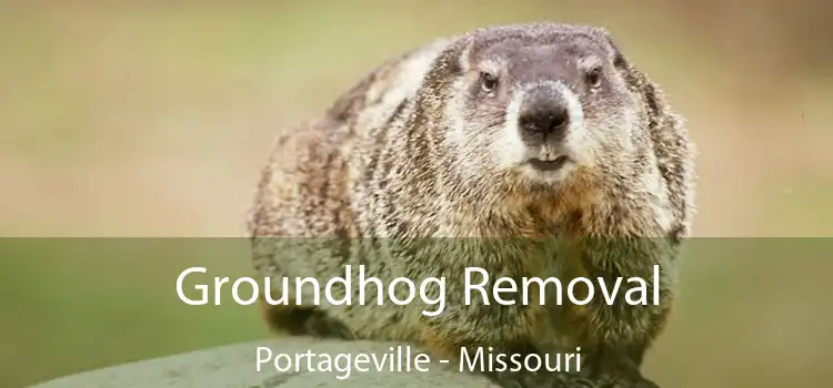 Groundhog Removal Portageville - Missouri