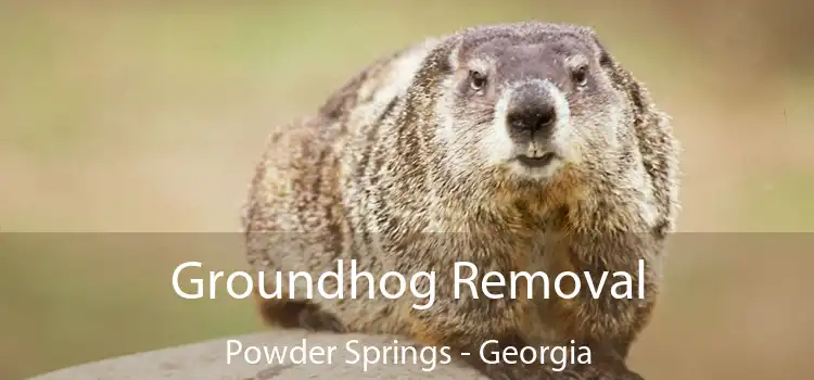 Groundhog Removal Powder Springs - Georgia