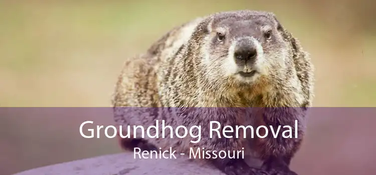 Groundhog Removal Renick - Missouri