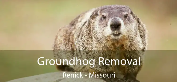 Groundhog Removal Renick - Missouri