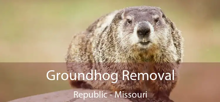 Groundhog Removal Republic - Missouri