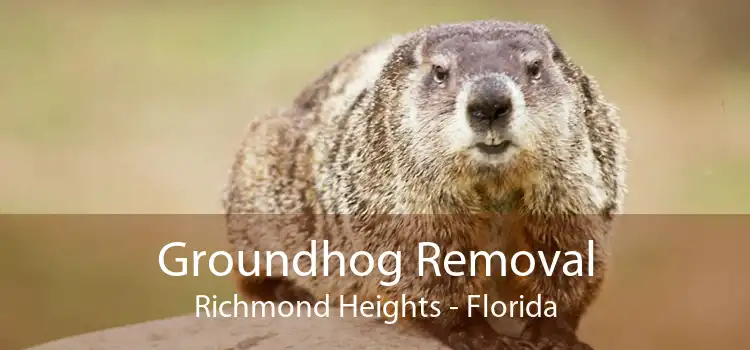 Groundhog Removal Richmond Heights - Florida