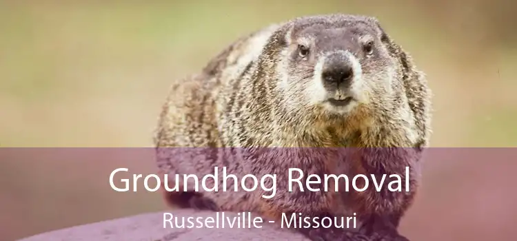 Groundhog Removal Russellville - Missouri