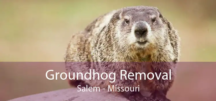 Groundhog Removal Salem - Missouri