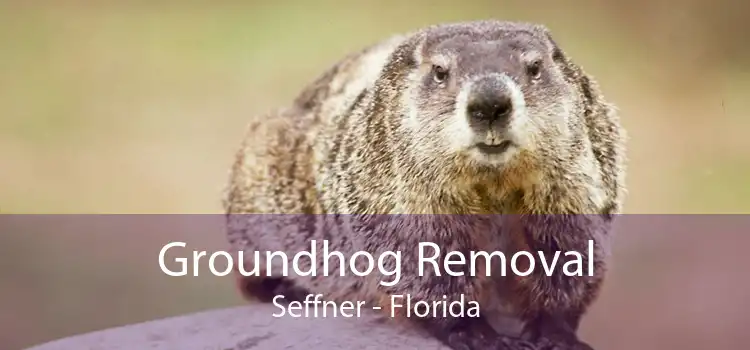 Groundhog Removal Seffner - Florida
