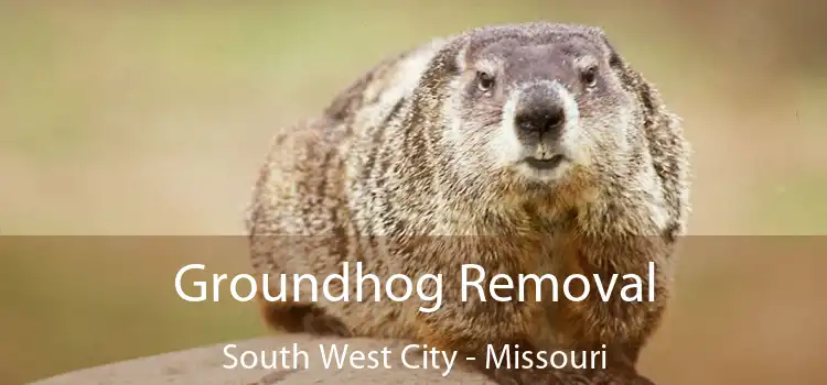 Groundhog Removal South West City - Missouri