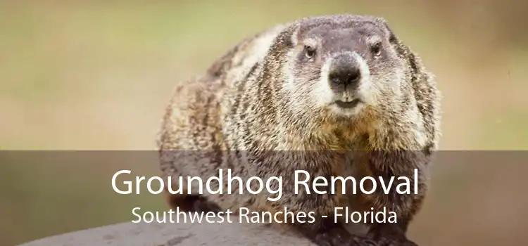 Groundhog Removal Southwest Ranches - Florida