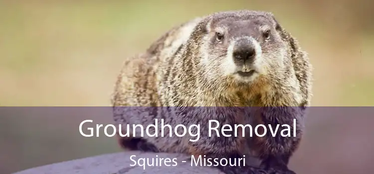 Groundhog Removal Squires - Missouri