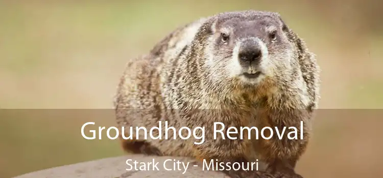 Groundhog Removal Stark City - Missouri