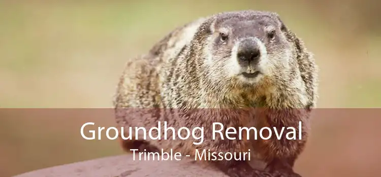 Groundhog Removal Trimble - Missouri
