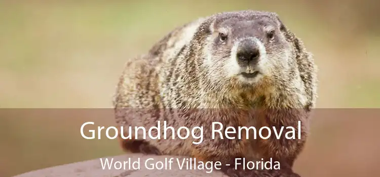 Groundhog Removal World Golf Village - Florida