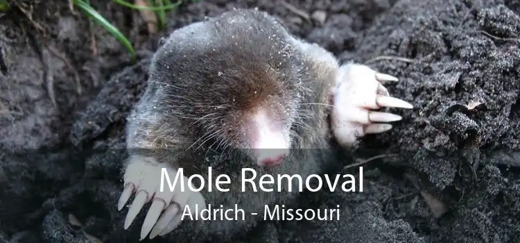 Mole Removal Aldrich - Missouri
