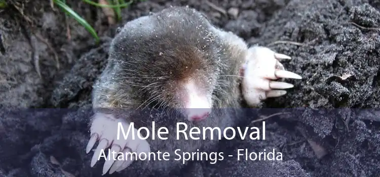 Mole Removal Altamonte Springs - Florida