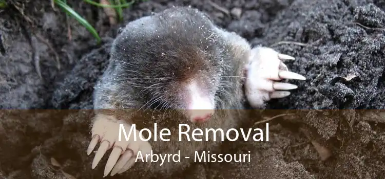 Mole Removal Arbyrd - Missouri
