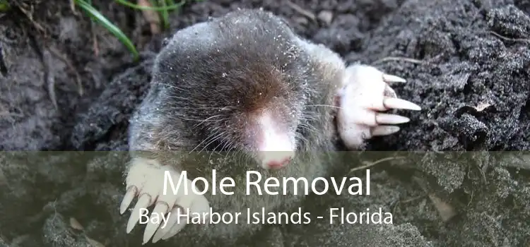 Mole Removal Bay Harbor Islands - Florida