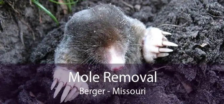 Mole Removal Berger - Missouri