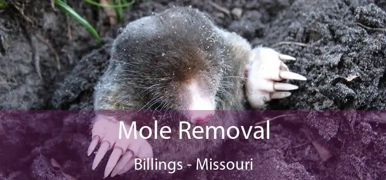 Mole Removal Billings - Missouri