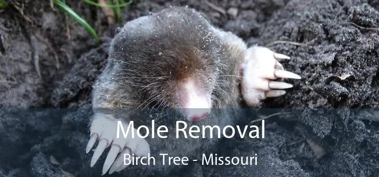 Mole Removal Birch Tree - Missouri