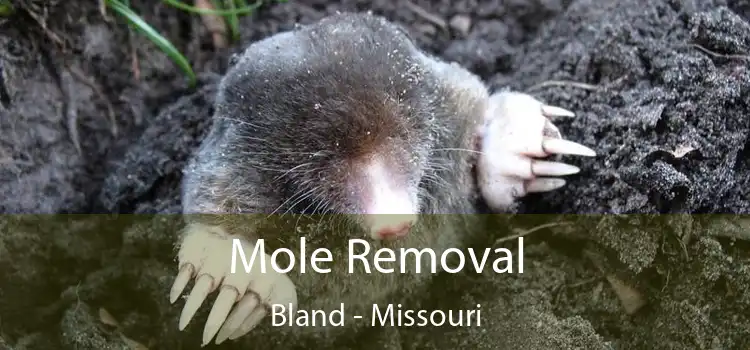 Mole Removal Bland - Missouri