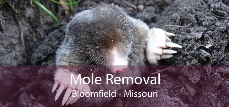 Mole Removal Bloomfield - Missouri