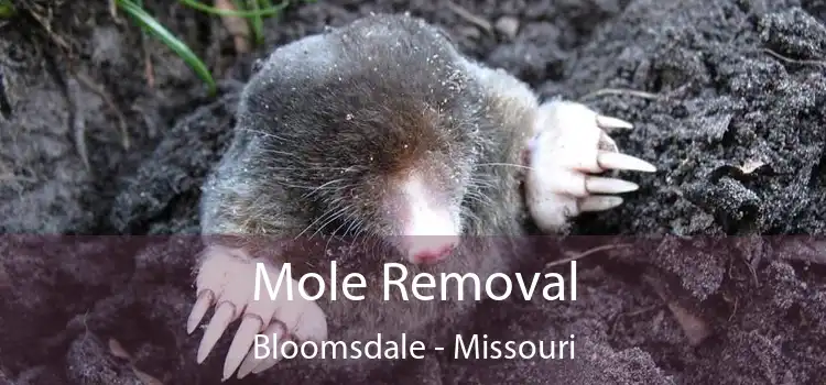 Mole Removal Bloomsdale - Missouri