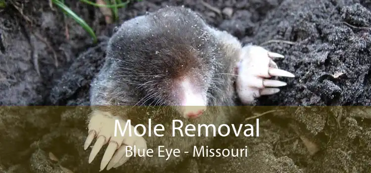 Mole Removal Blue Eye - Missouri