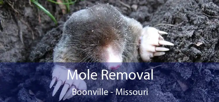 Mole Removal Boonville - Missouri