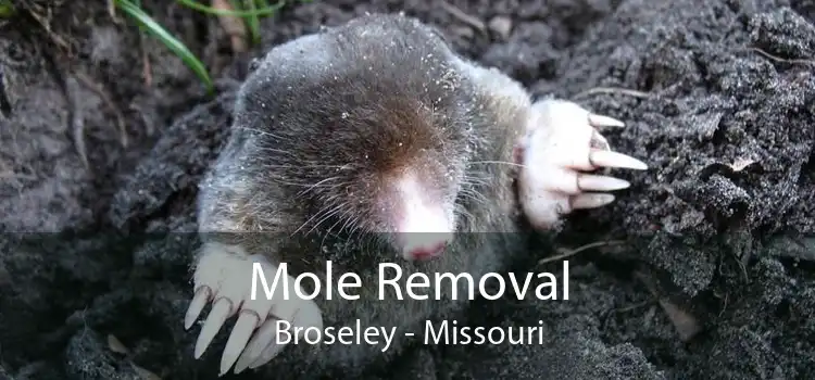 Mole Removal Broseley - Missouri