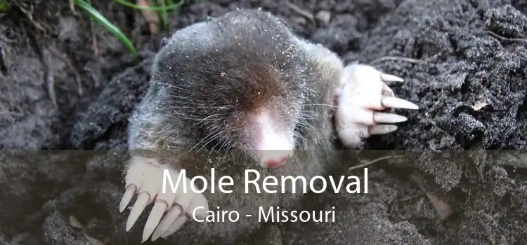 Mole Removal Cairo - Missouri