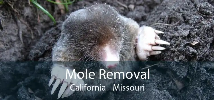 Mole Removal California - Missouri