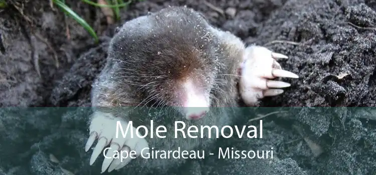 Mole Removal Cape Girardeau - Missouri