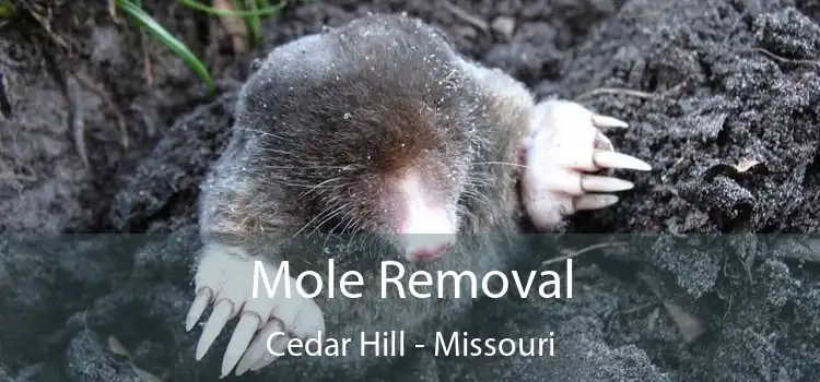 Mole Removal Cedar Hill - Missouri