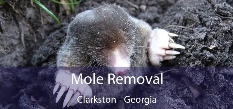 Mole Removal Clarkston - Georgia