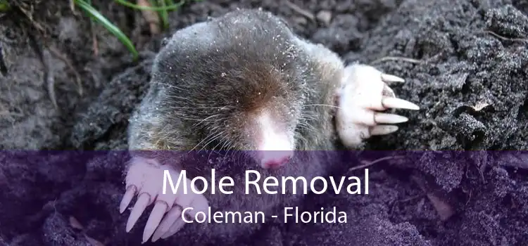 Mole Removal Coleman - Florida