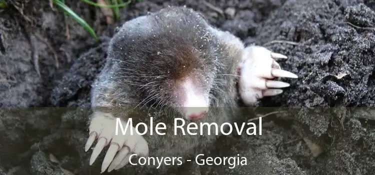 Mole Removal Conyers - Georgia